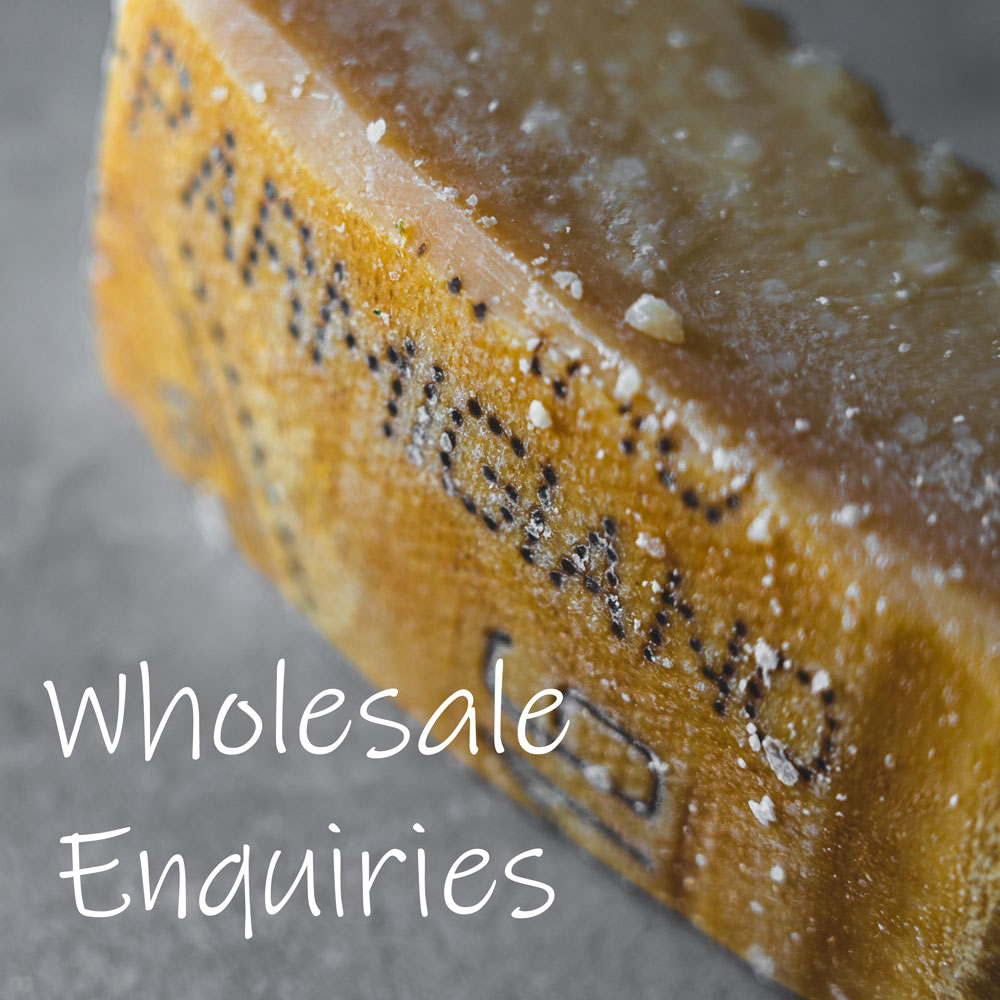 A block of Parmigiano Reggiano with the words Wholesale